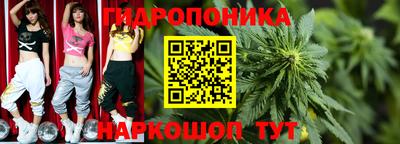 прущий лед Гатчина
