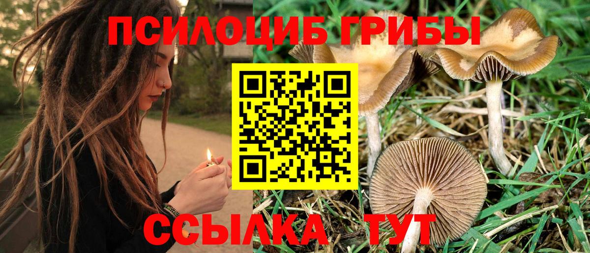 Псилоцибиновые грибы прущие грибы Выборг